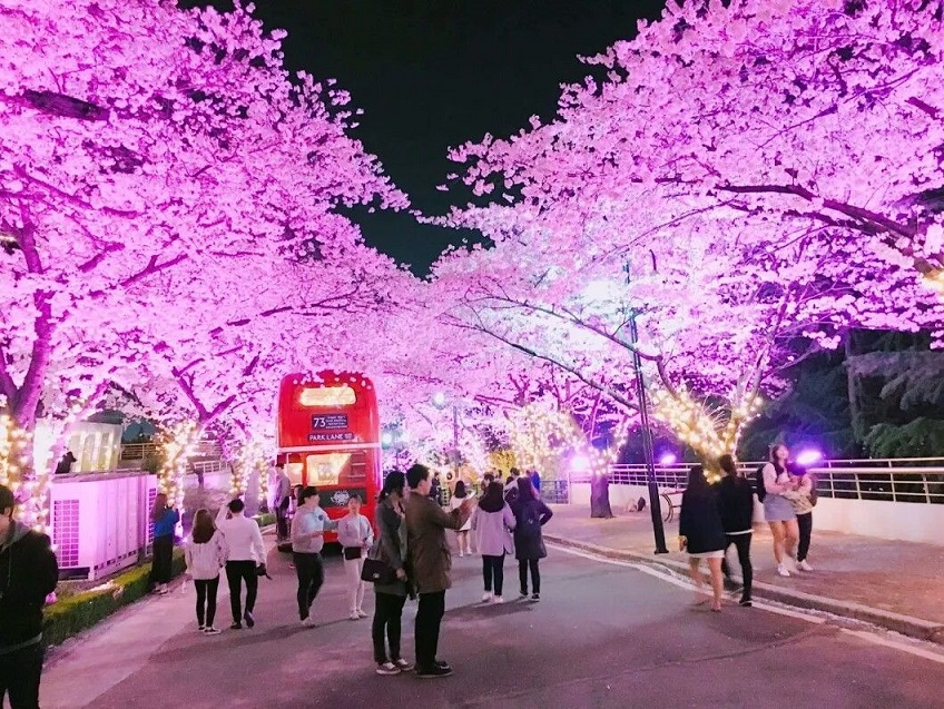 City Bus Tour tham quan Daegu 