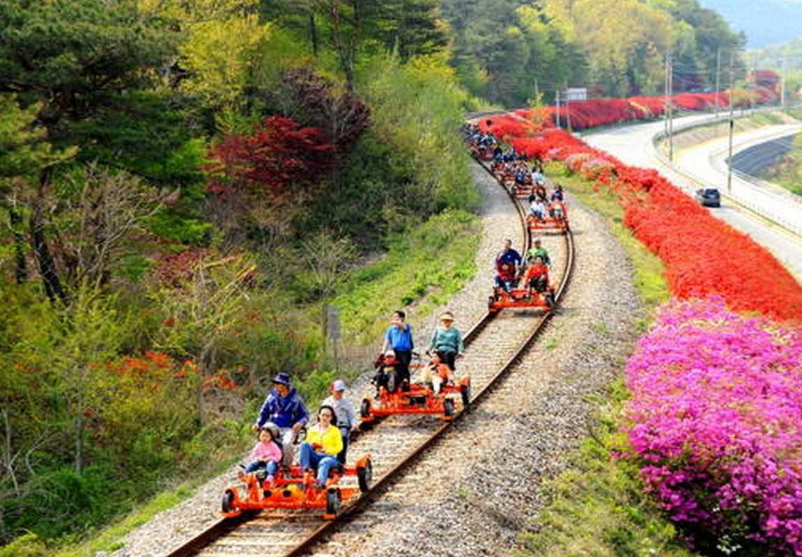 Xe đạp đường sắt Gangchon Rail Bike