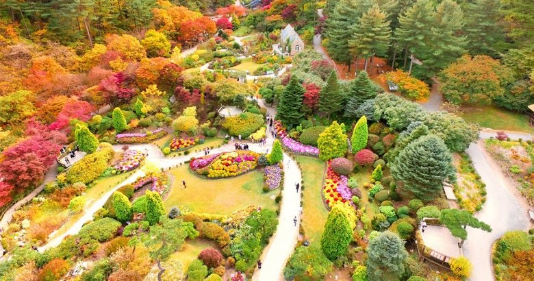 Khởi hành từ Seoul - Một ngày khám phá đảo Nami, The Garden of Morning Calm, Alpaca Pasture