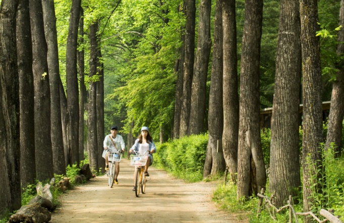 Chuyến đi khám phá đảo Nami Hàn Quốc - Thực hiện thử thách đu dây zipline 