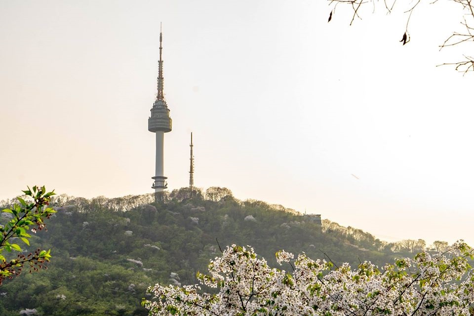 Tour riêng nguyên ngày trải nghiệm mặc Hanbok, tham quan cung điện, tháp N seoul, làm kimchi và gimbap