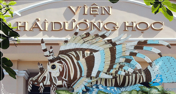 Teambuilding Đà Lạt - Nha Trang - Vịnh Vĩnh Hy