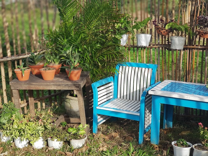 B&U Farm, Phú Yên