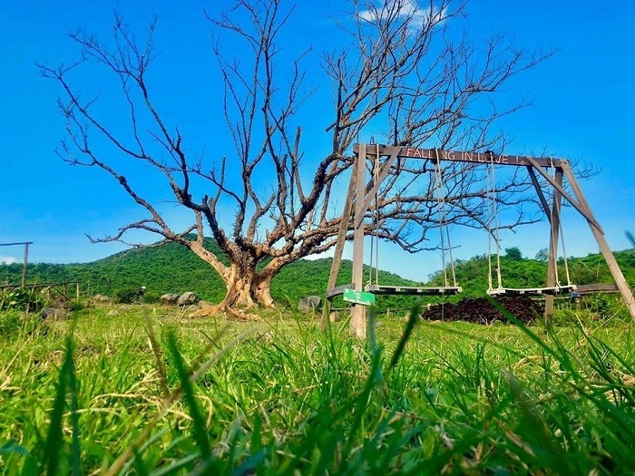 B&U Farm, Phú Yên