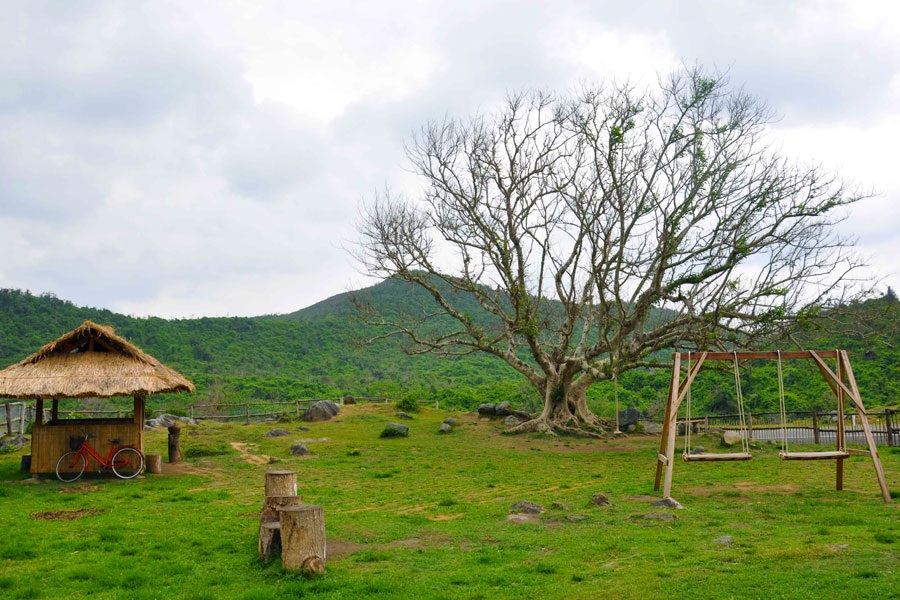 B&U Farm, Phú Yên