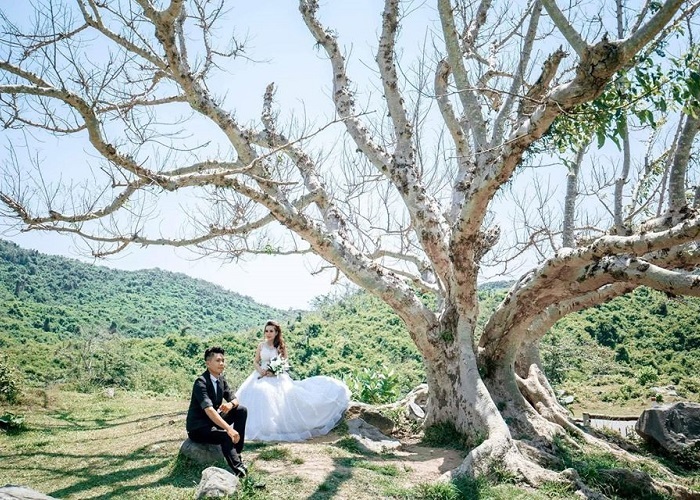 B&U Farm, Phú Yên