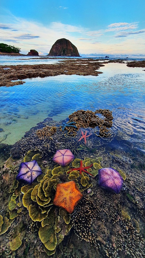 Hòn Yến, Phú Yên 