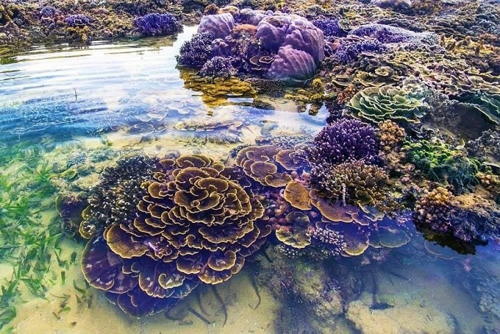 Hòn Yến, Phú Yên 