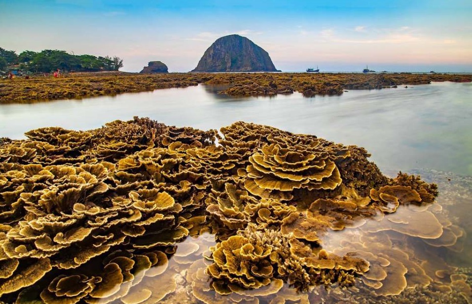 Hòn Yến, Phú Yên 