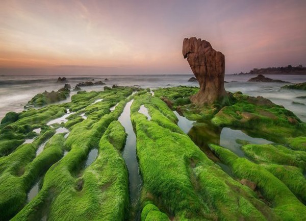 Kè chắn sóng Xóm Rớ, Phú Yên