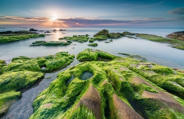 Kè chắn sóng Xóm Rớ, Phú Yên