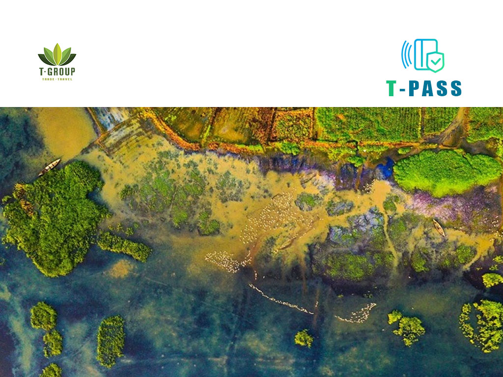 Đầm Trà Ổ, Bình Định 