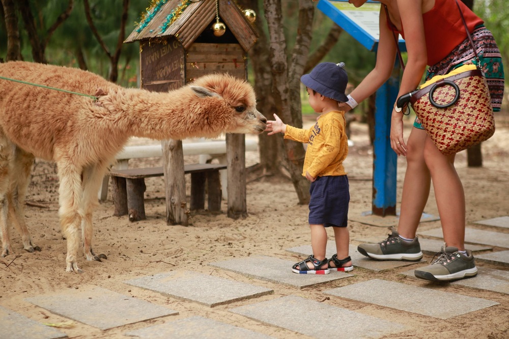 FLC Zoo Safari Park Quy Nhơn