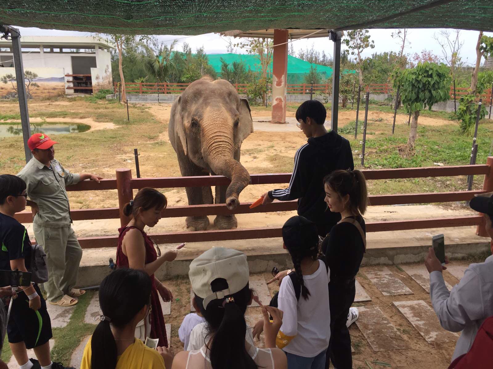 FLC Zoo Safari Park Quy Nhơn