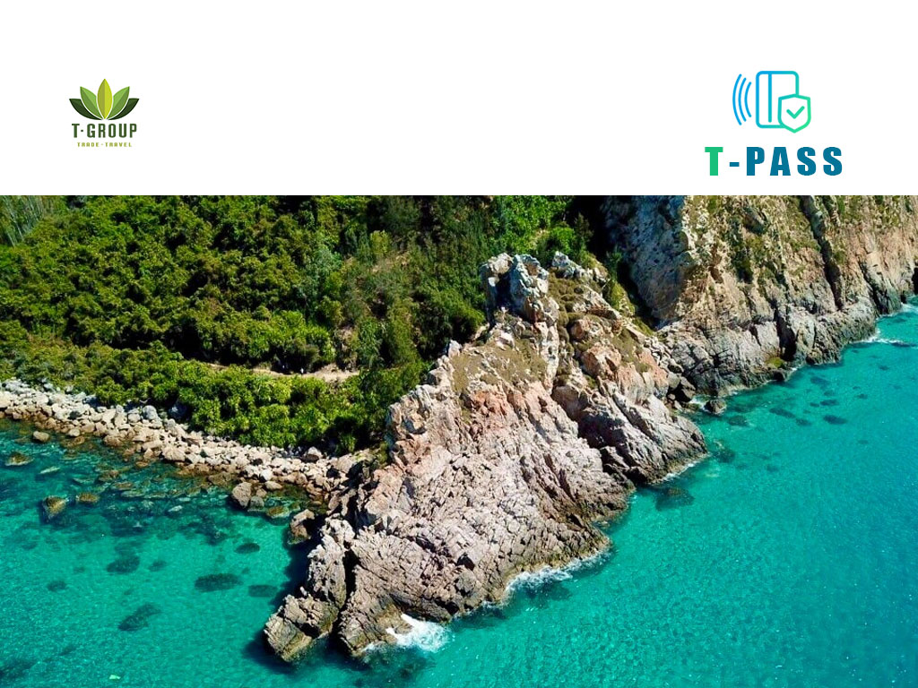 Mũi Vi Rồng, Bình Định