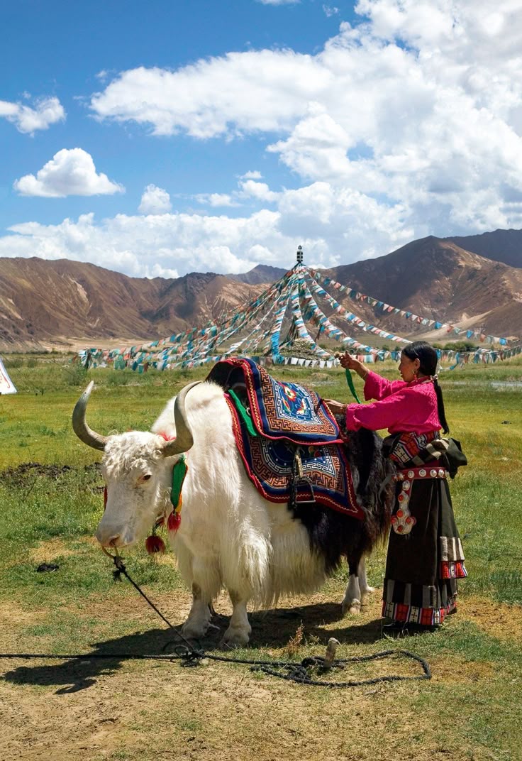Du Lịch Hành Hương: Ấn Độ - Nepal 2025 | Hành Trình Về Đất Phật 7N6D