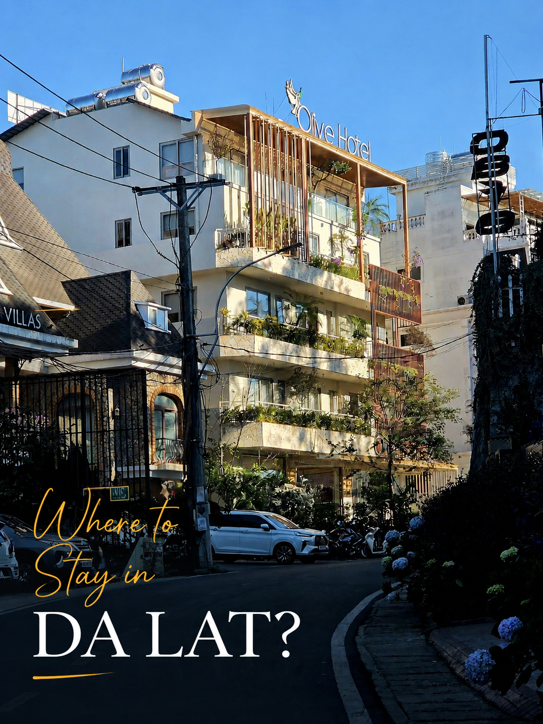 Olive Hotel Da Lat Review: Three Stays, and Why I Keep Coming Back