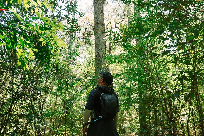 Tour Trekking khám phá The Hidden Waterfall
