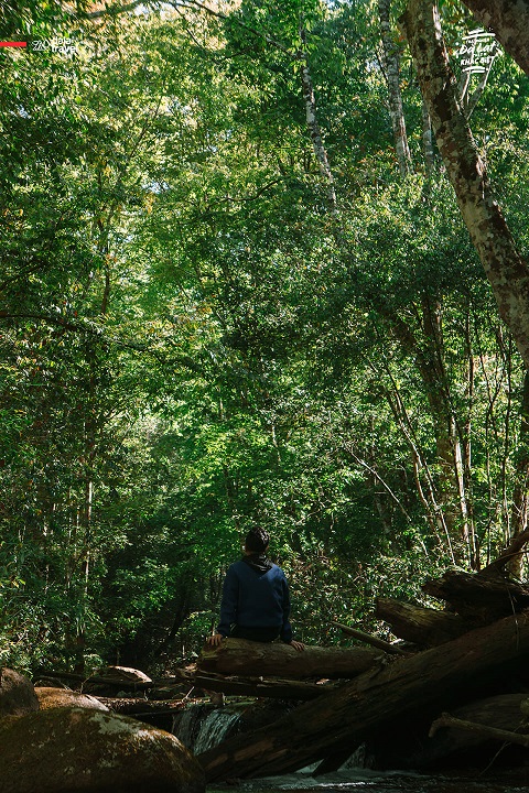 Tour Trekking khám phá The Hidden Waterfall
