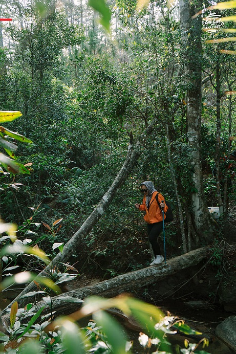 Tour Trekking khám phá The Hidden Waterfall
